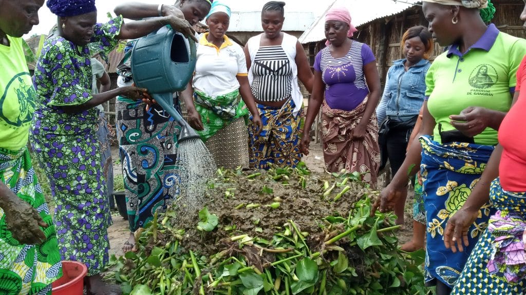 Activité Green Keeper Africa